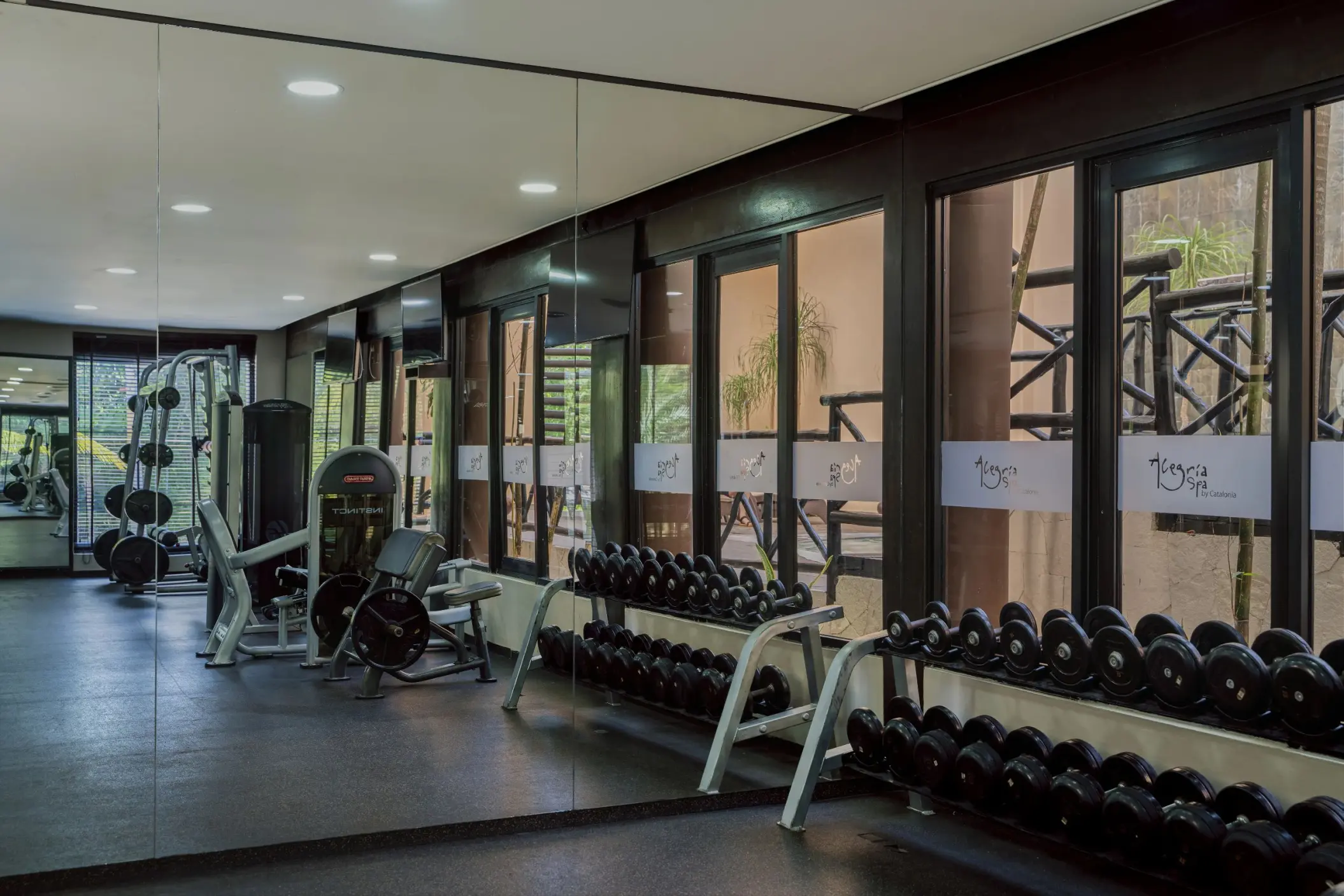 A modern gym with various exercise machines, free weights, and large windows looking out to a garden.