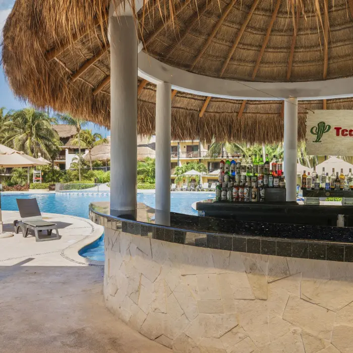 A thatched-roof swim-up bar with 