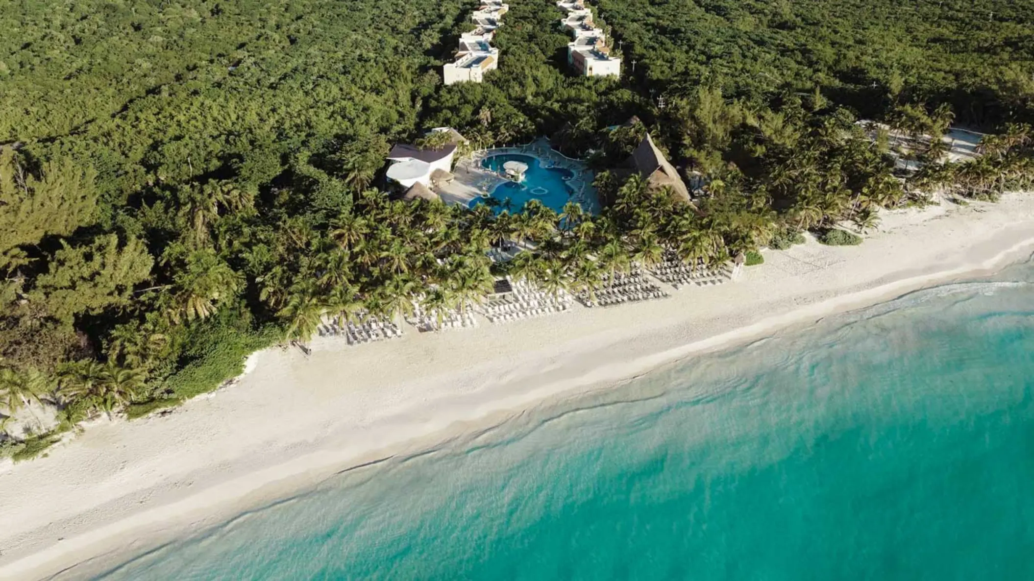 aerial view of the resort and beach and sea at Catalonia Royal Tulum