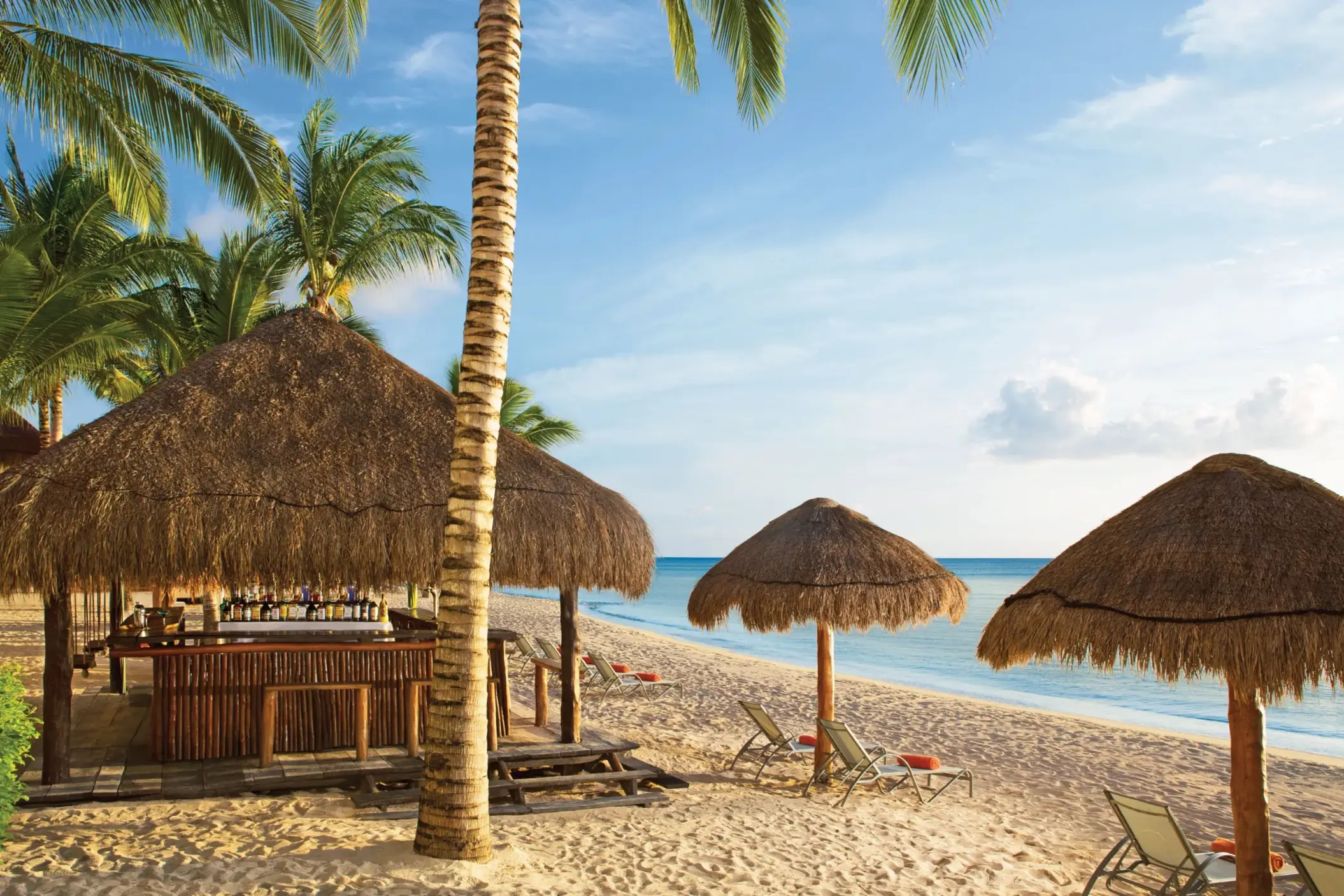 Thatched-roof beach bar with swings, tropical cocktails, and ocean views under palm trees.