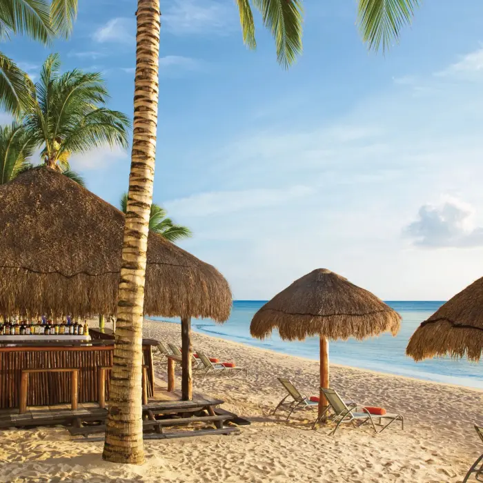 Thatched-roof beach bar with swings, tropical cocktails, and ocean views under palm trees.