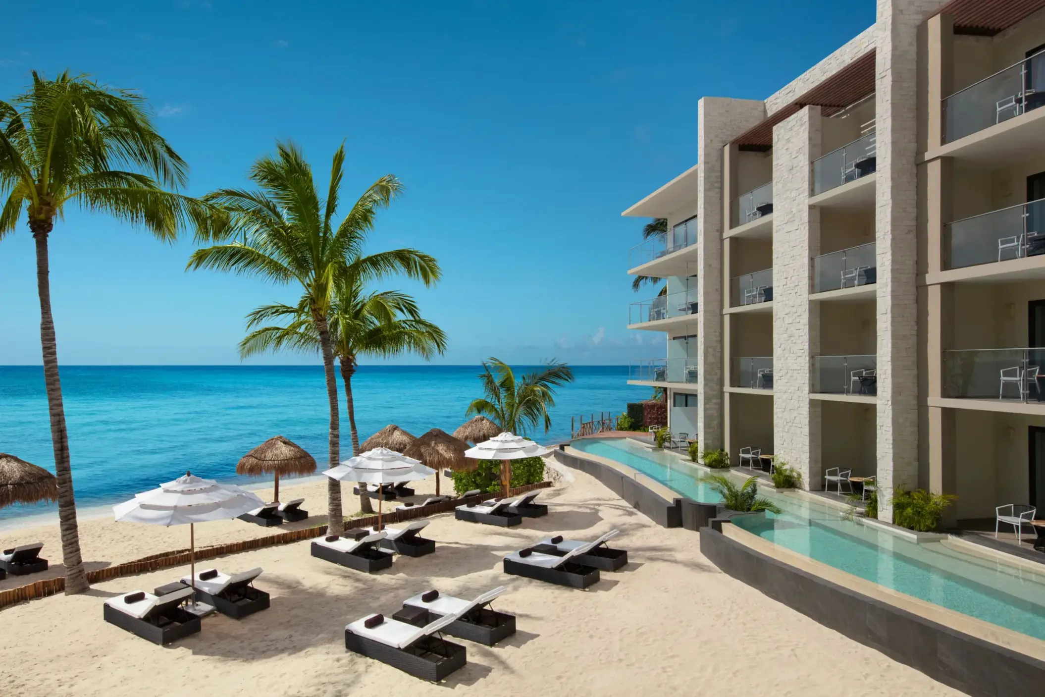Elegant beachfront suites with private swim-out pool and shaded loungers under palm trees facing the ocean.