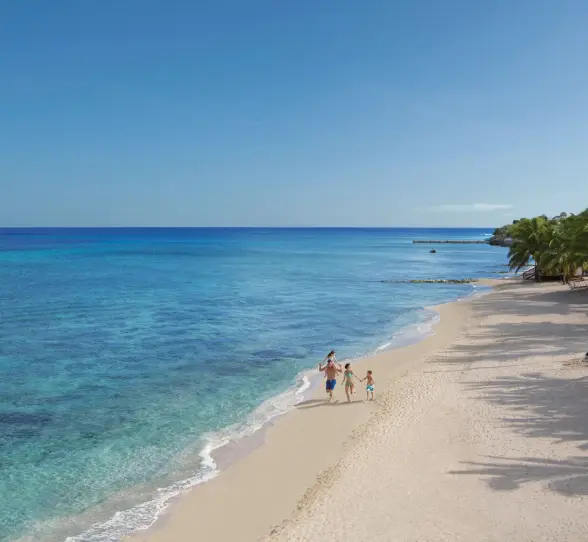 Family walking along the soft sandy beach beside crystal-clear waters and palm-shaded shoreline.