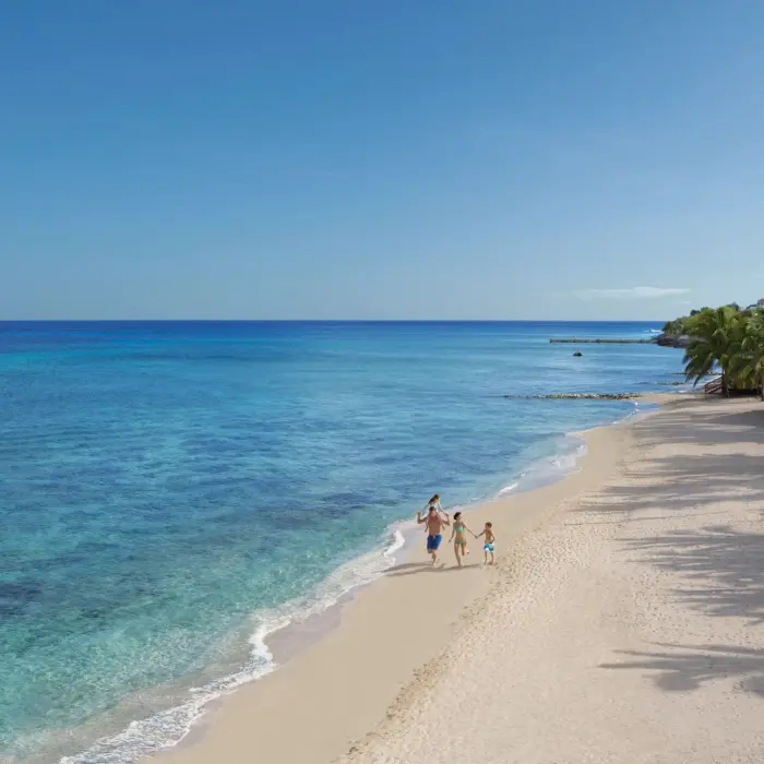 Family walking along the soft sandy beach beside crystal-clear waters and palm-shaded shoreline.