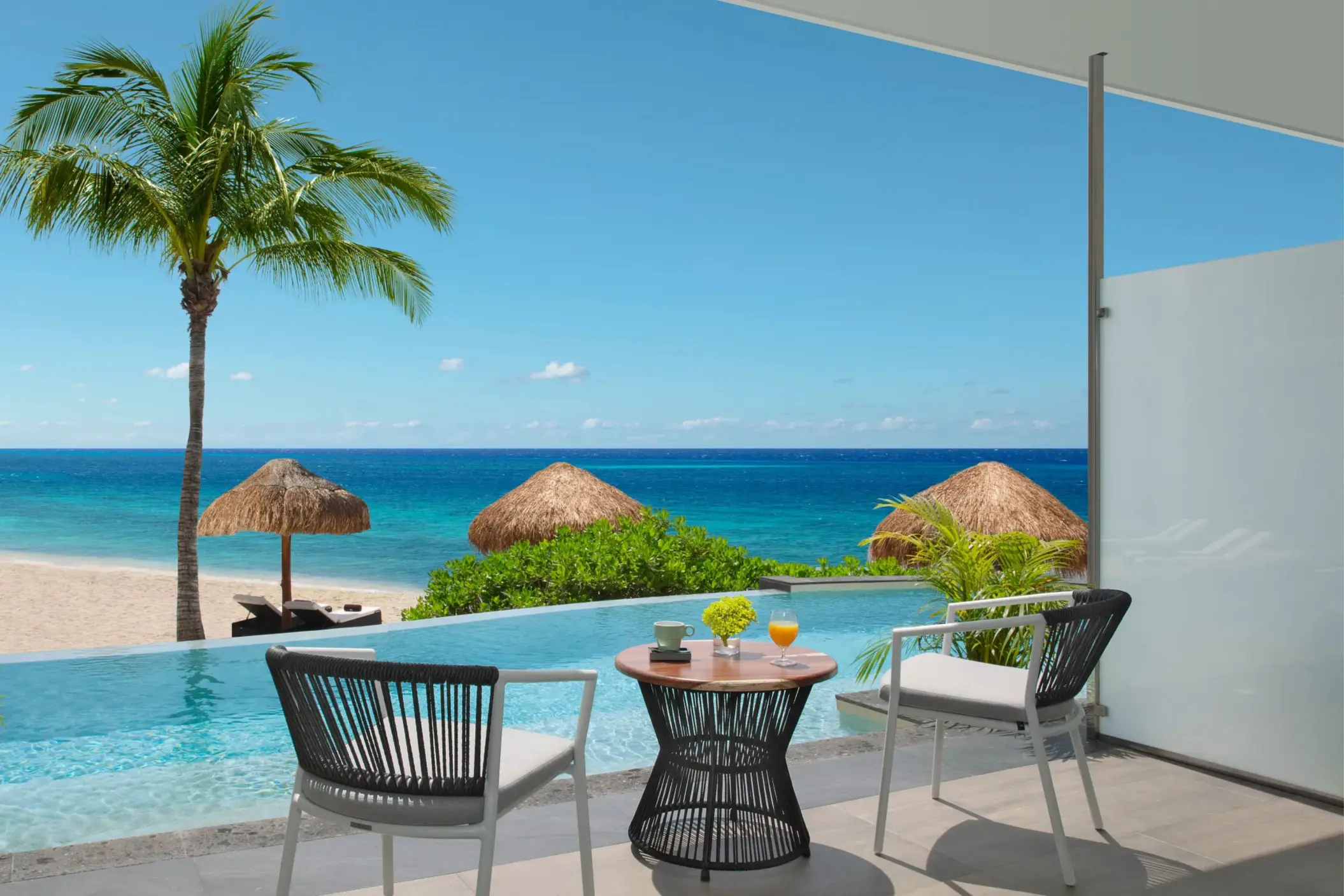 Private terrace with plunge pool, two chairs, table, and ocean view framed by palm trees.