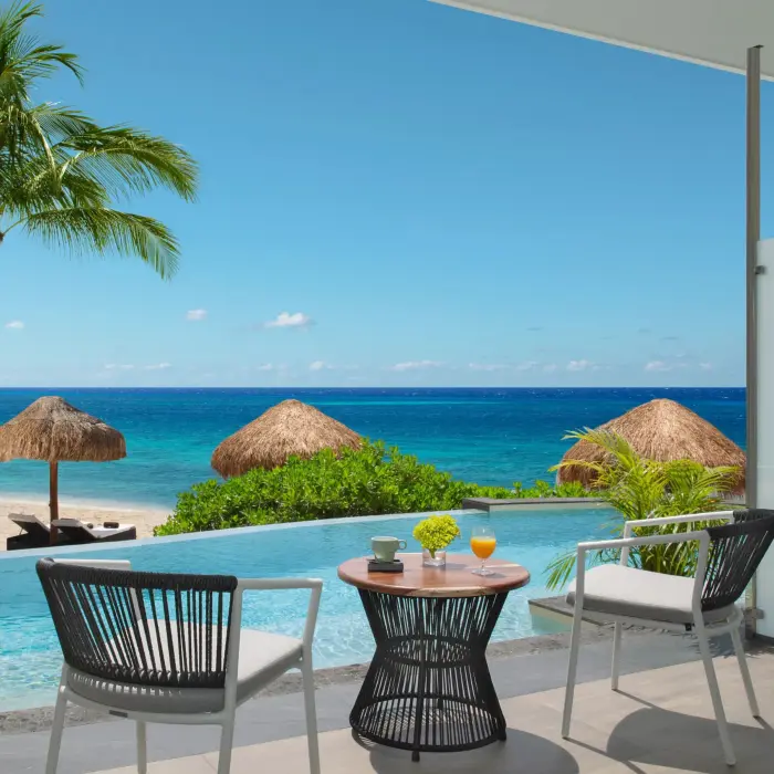 Private terrace with plunge pool, two chairs, table, and ocean view framed by palm trees.