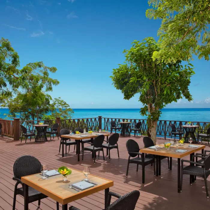 Open-air World Café terrace with ocean backdrop, surrounded by trees and wooden deck seating.