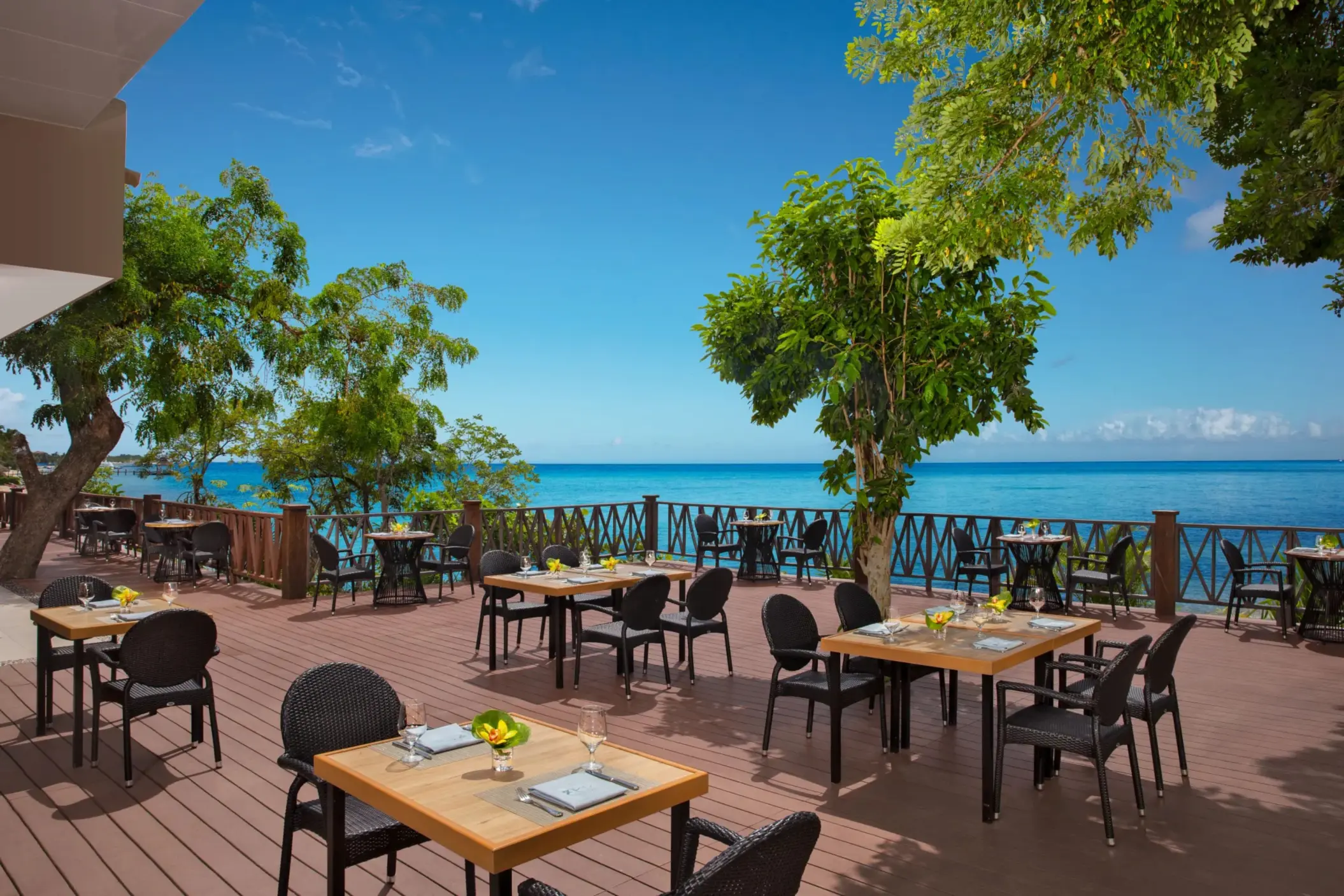 Open-air World Café terrace with ocean backdrop, surrounded by trees and wooden deck seating.
