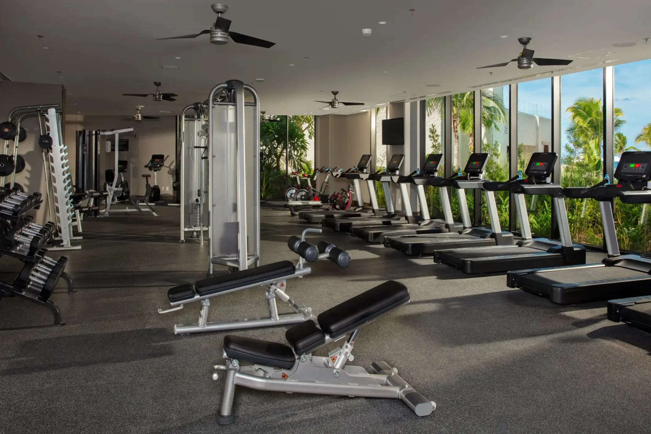 Spacious resort gym with treadmills, weight machines, and garden views through glass walls.