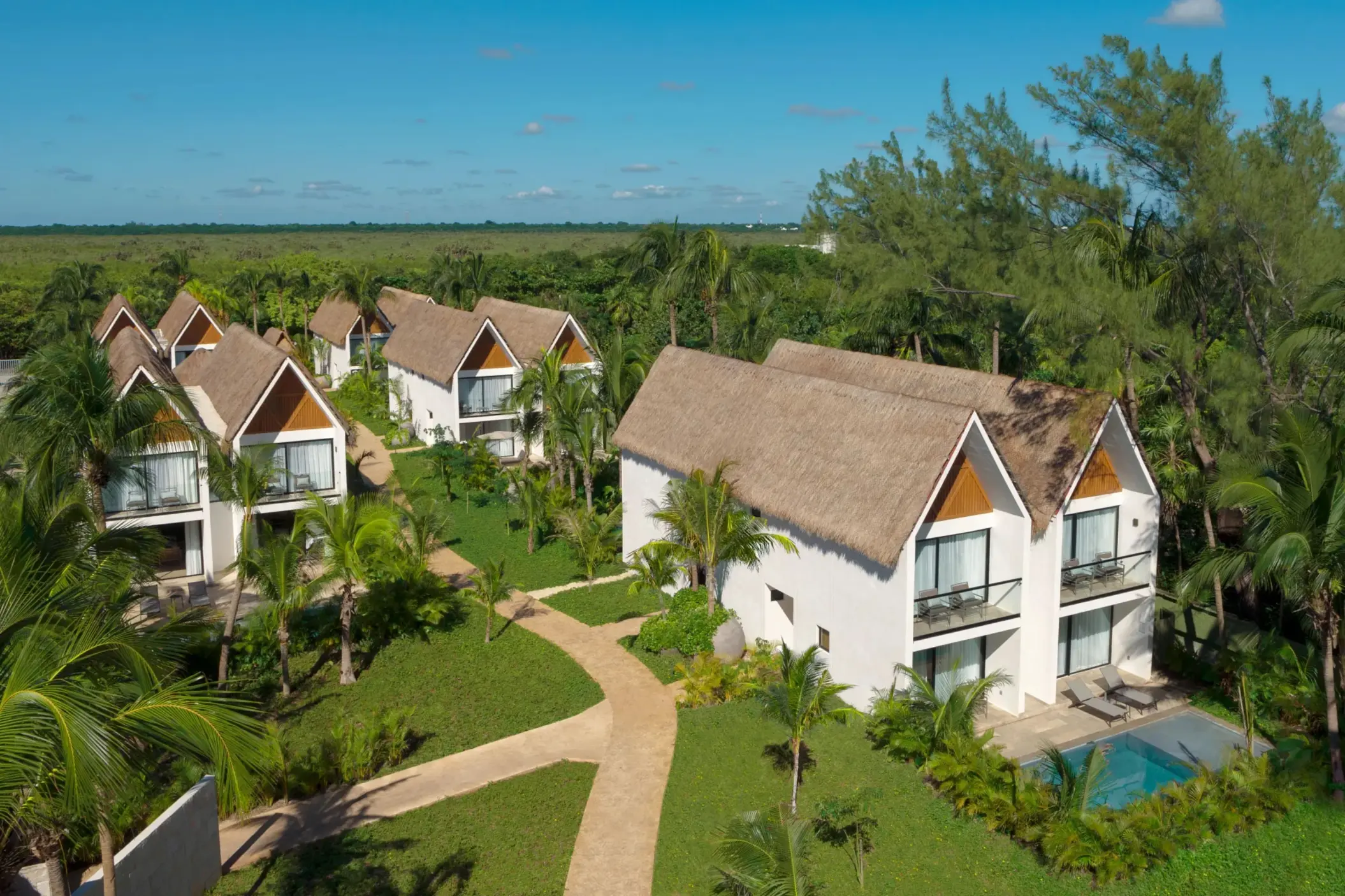 Stunning aerial view of secluded private villas near the beach.