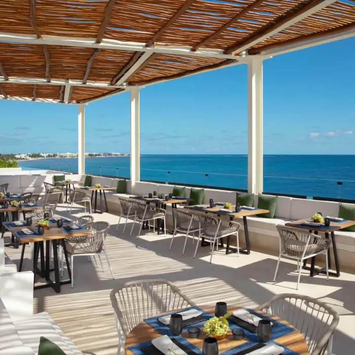 Chic sushi bar at Gohan, where fresh rolls and Japanese fusion dishes are served in a sleek, intimate setting.