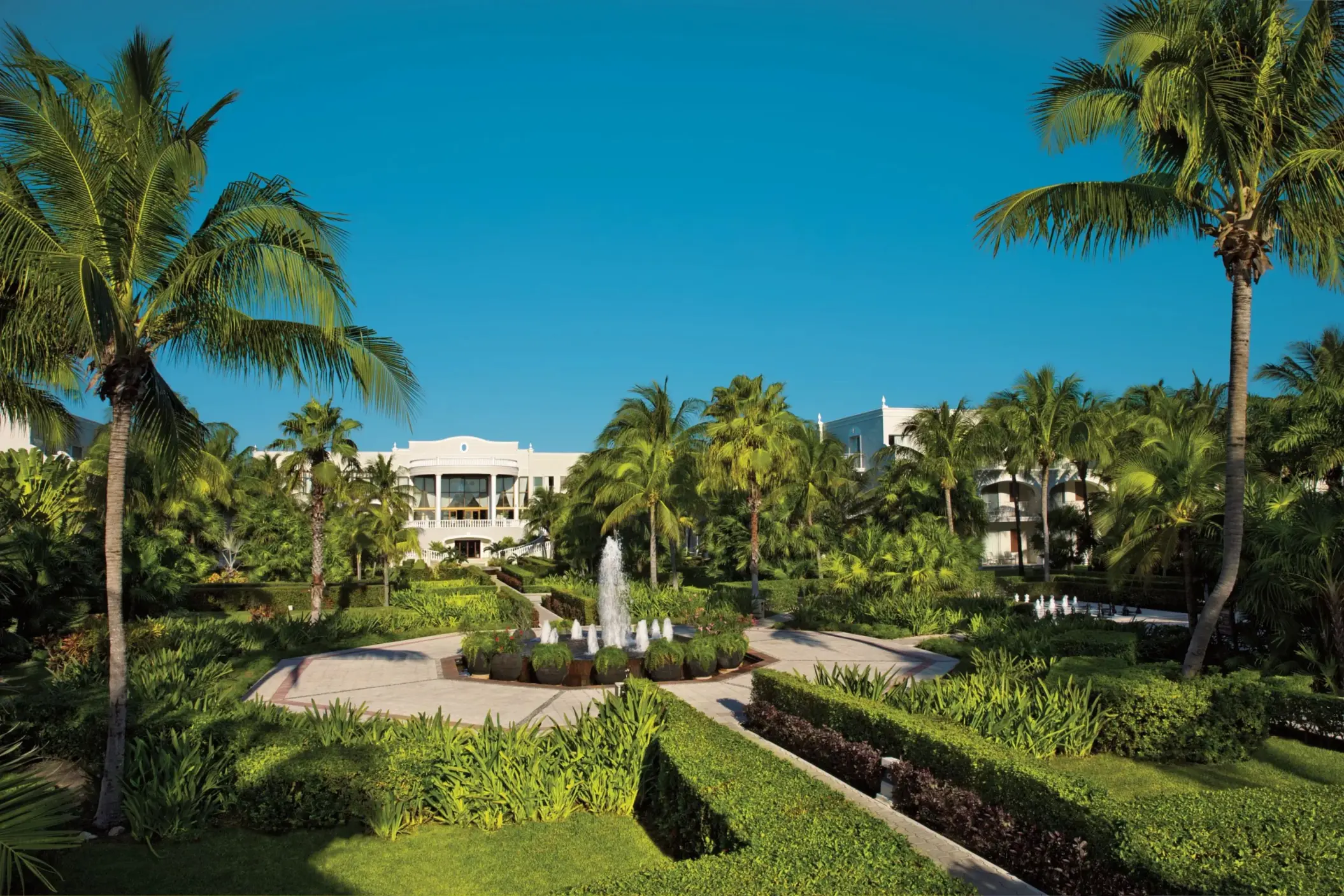 Lush tropical gardens with palm trees, fountains, and manicured walkways at Dreams Tulum Resort & Spa.