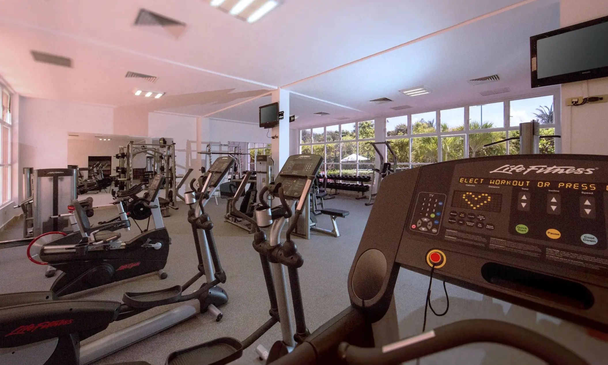 Modern fitness center with treadmills, ellipticals, weights, and large windows overlooking tropical greenery.