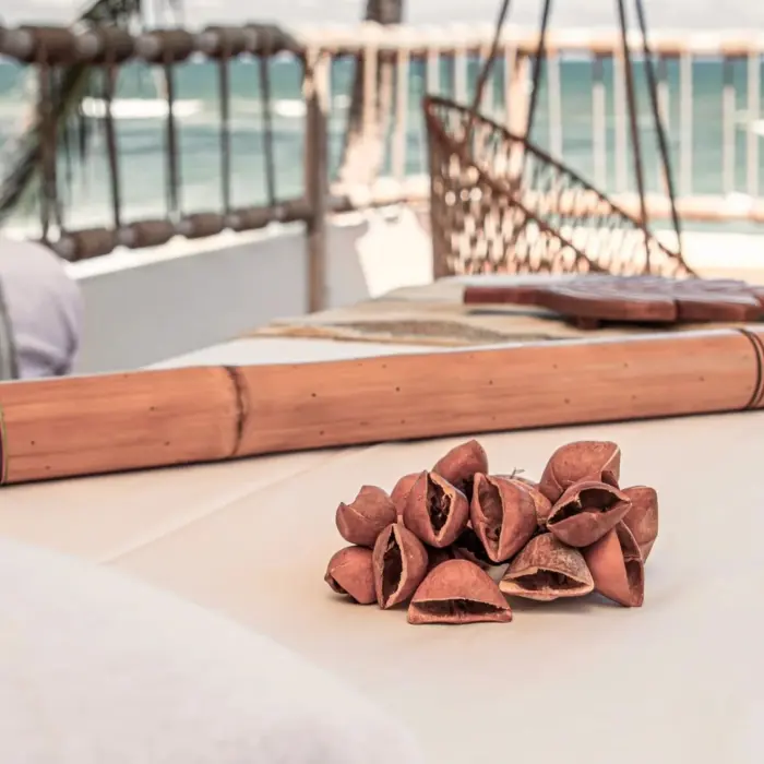spa treatment setup at dune boutique hotel tulum