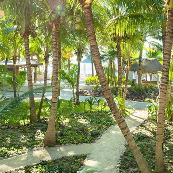 landscaped gardens at El Dorado Seaside Suites