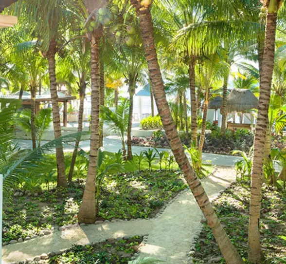 landscaped gardens at El Dorado Seaside Suites