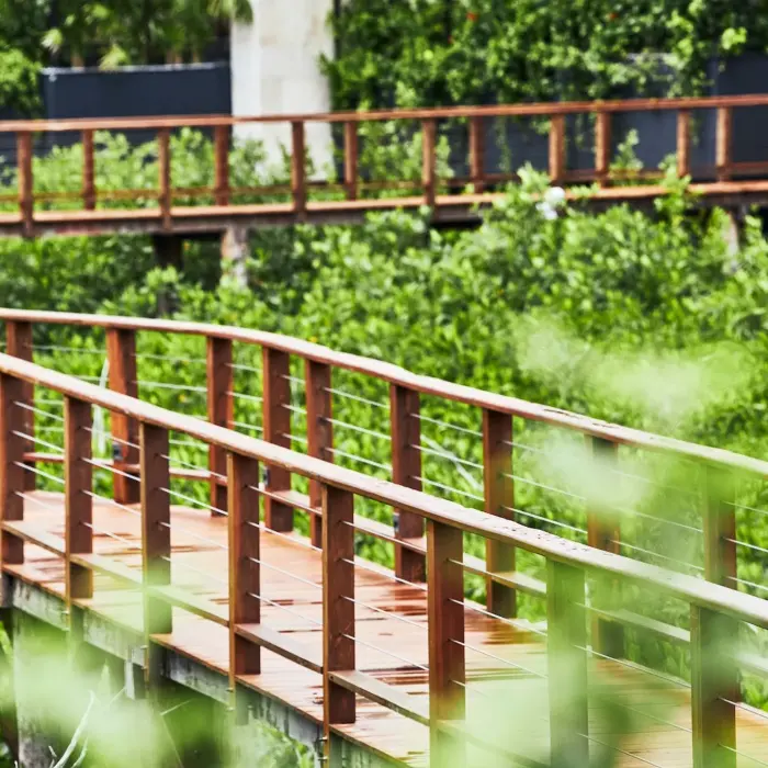 access to the spa at Etereo Riviera Maya