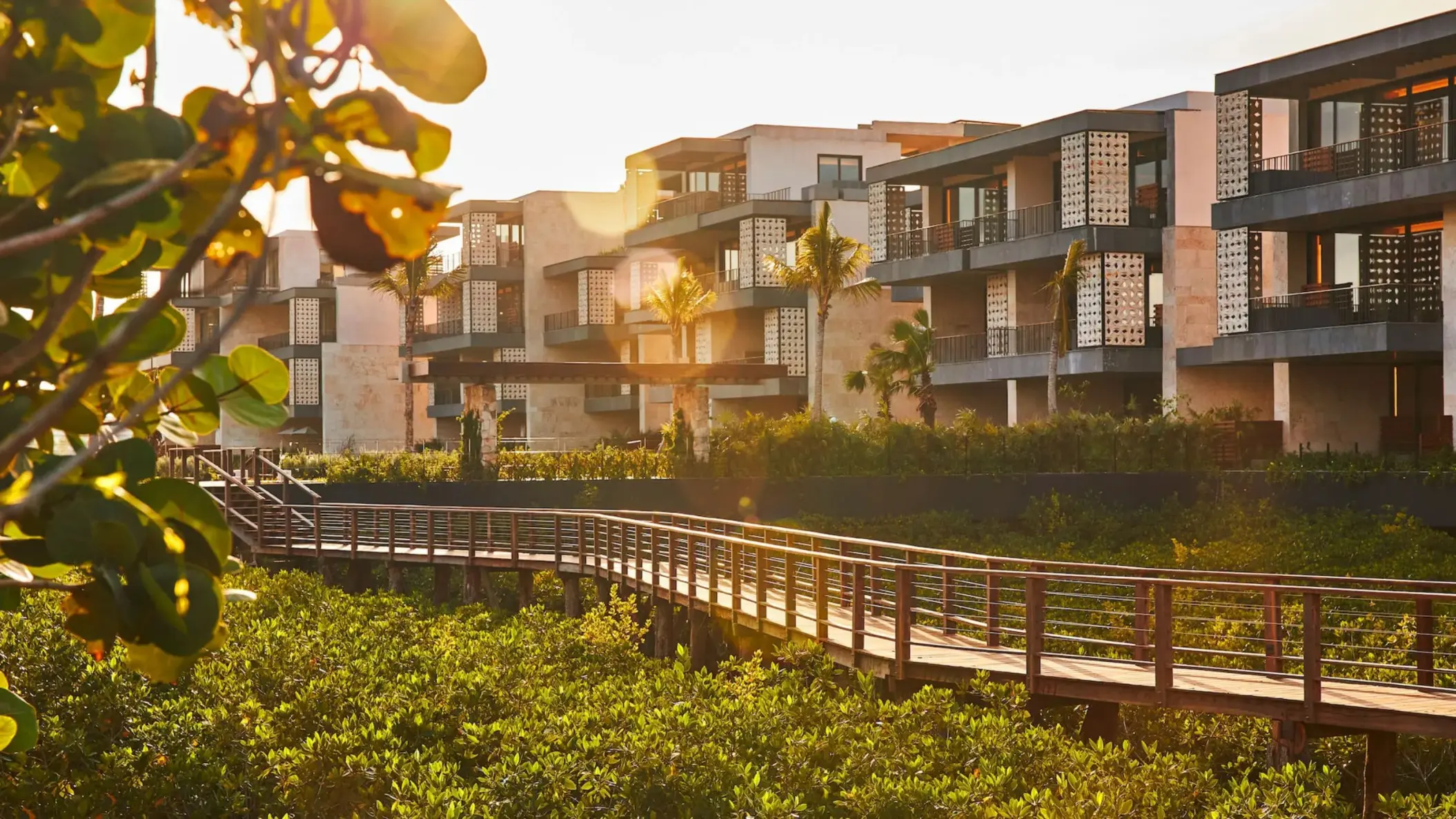studios and suites hover above lush native greenery at Etereo Riviera Maya
