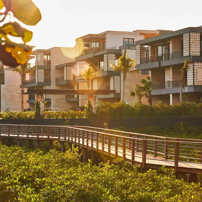 studios and suites hover above lush native greenery at Etereo Riviera Maya
