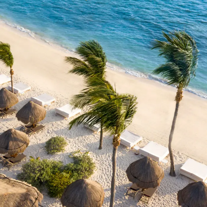 Aerial view of palapas and beach beds on a wide sandy shoreline with turquoise ocean and swaying palm trees