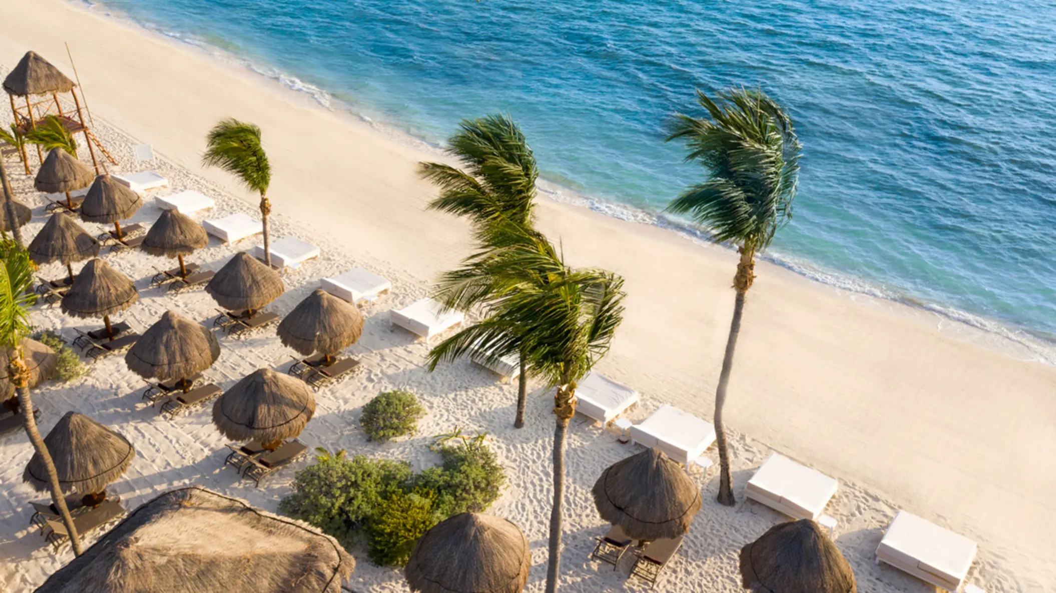 Aerial view of palapas and beach beds on a wide sandy shoreline with turquoise ocean and swaying palm trees