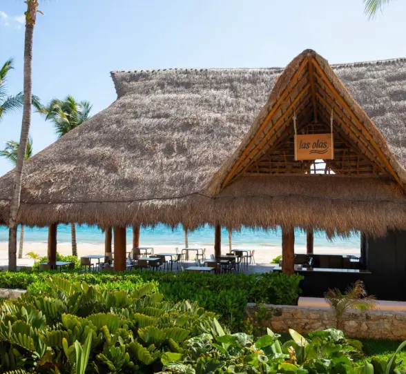 Thatched-roof beachfront restaurant named Las Olas, surrounded by palm trees and tropical plants near the ocean.