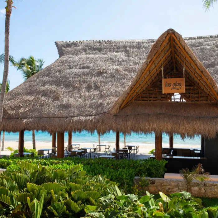 Thatched-roof beachfront restaurant named Las Olas, surrounded by palm trees and tropical plants near the ocean.