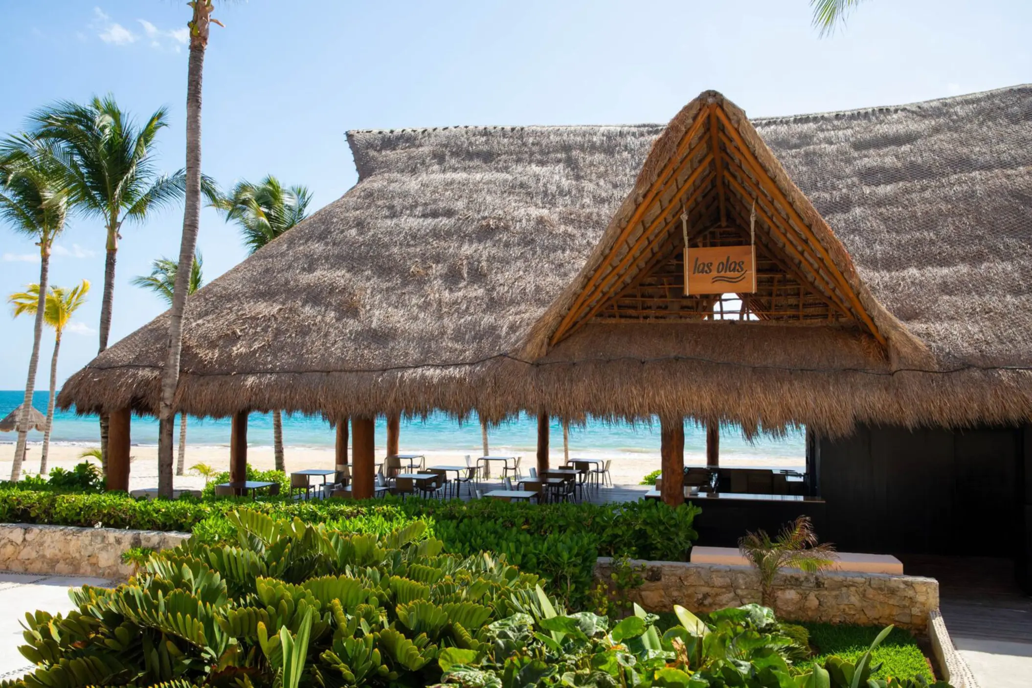 Thatched-roof beachfront restaurant named Las Olas, surrounded by palm trees and tropical plants near the ocean.