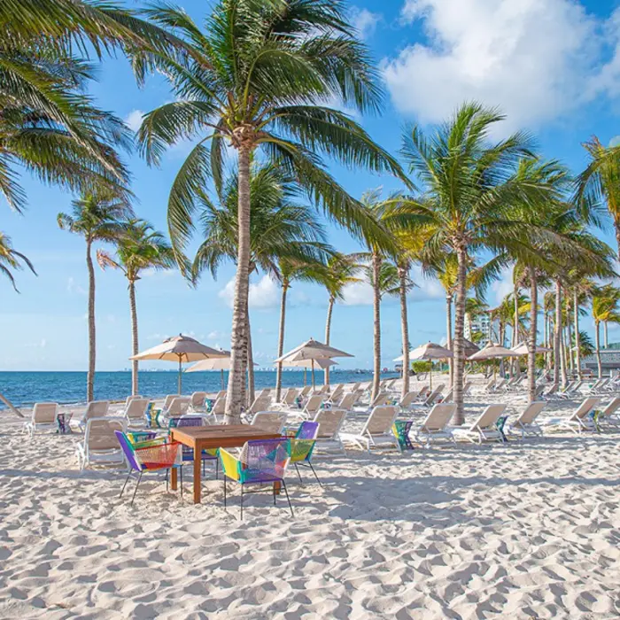 White-sand beach with lounge chairs, umbrellas, palm trees, and ocean views under a clear blue sky.