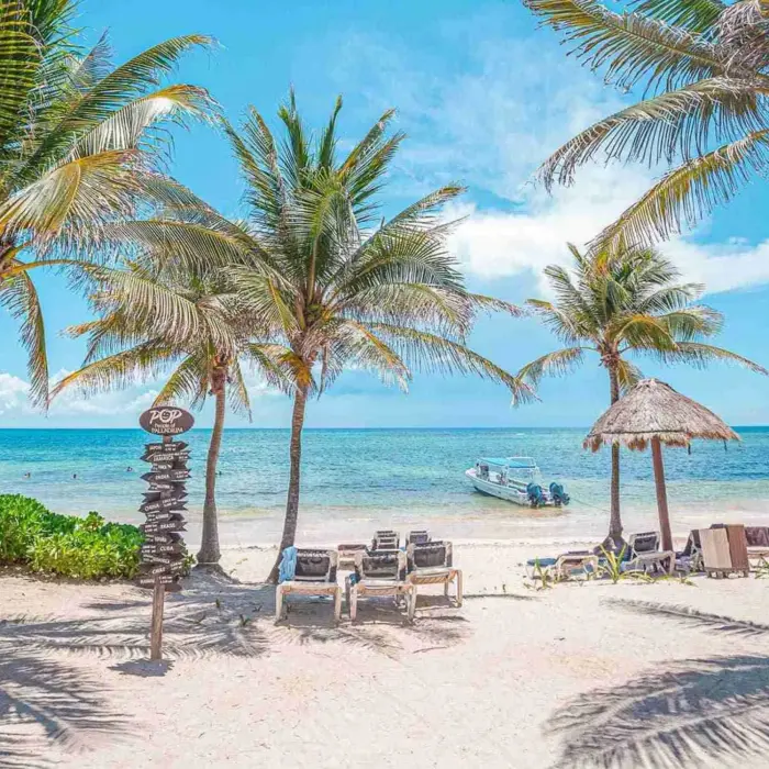 beach at grand palladium select white sand
