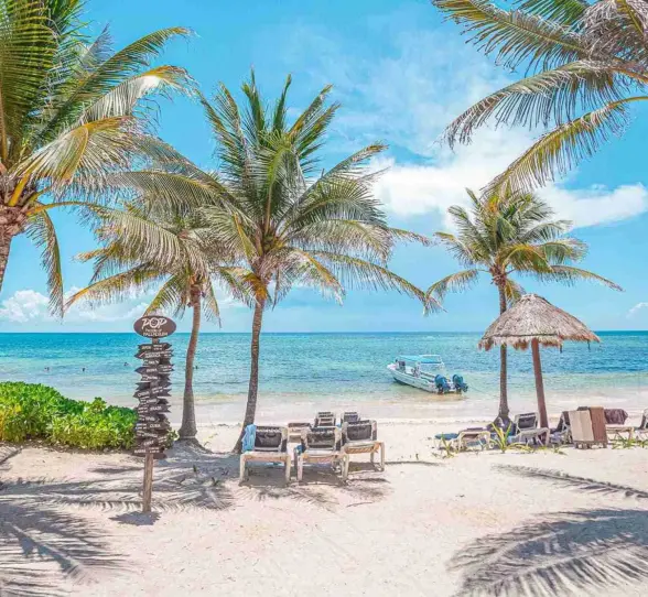 beach at grand palladium select white sand