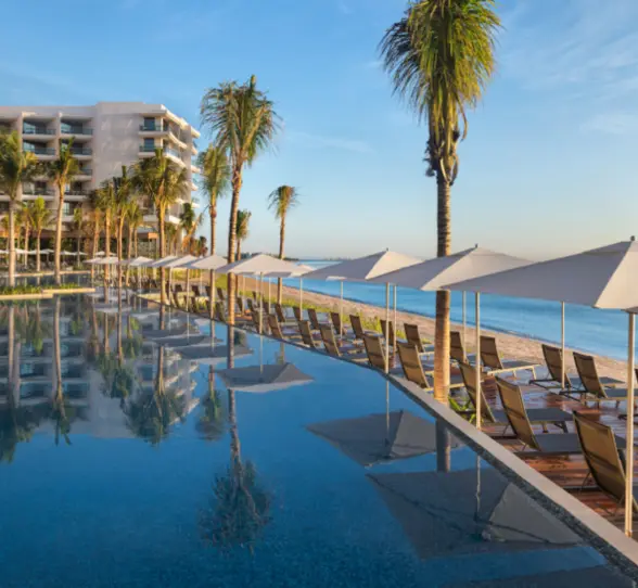 Beachfront pool deck lined with palm trees, lounge chairs, and white umbrellas beside calm ocean waters.