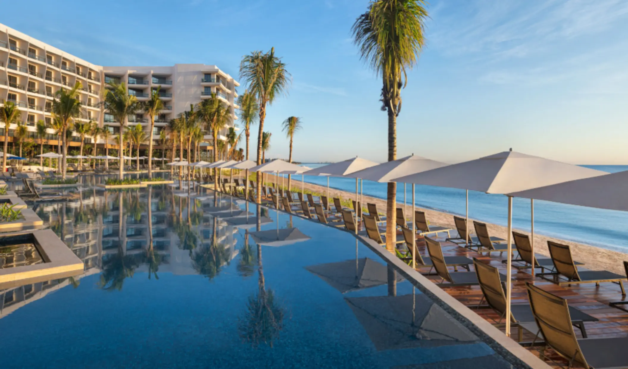 Beachfront pool deck lined with palm trees, lounge chairs, and white umbrellas beside calm ocean waters.