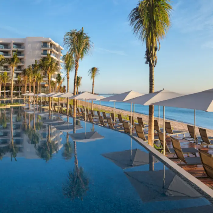 Beachfront pool deck lined with palm trees, lounge chairs, and white umbrellas beside calm ocean waters.
