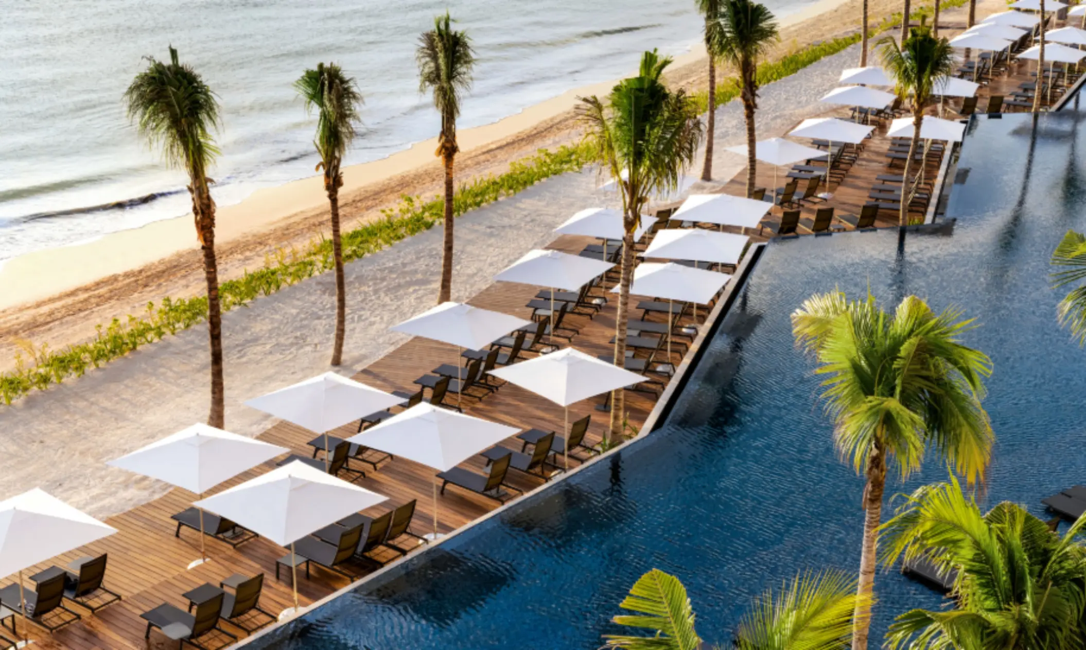 Elevated view of poolside lounge deck with rows of white umbrellas beside a calm beach and palm-lined boardwalk.
