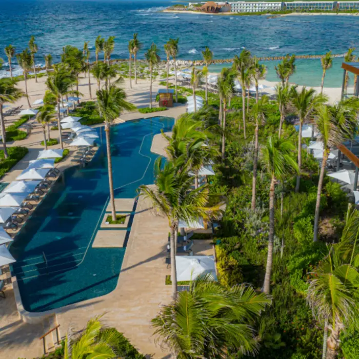 Aerial view of lush beachfront pool area lined with palm trees, white loungers, and the Caribbean Sea.