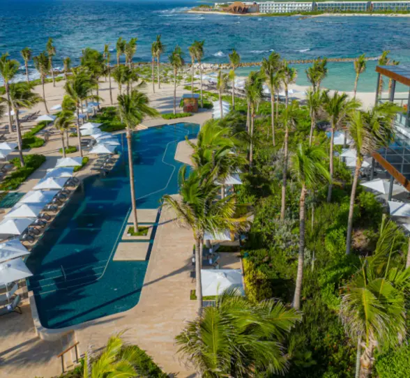 Aerial view of lush beachfront pool area lined with palm trees, white loungers, and the Caribbean Sea.