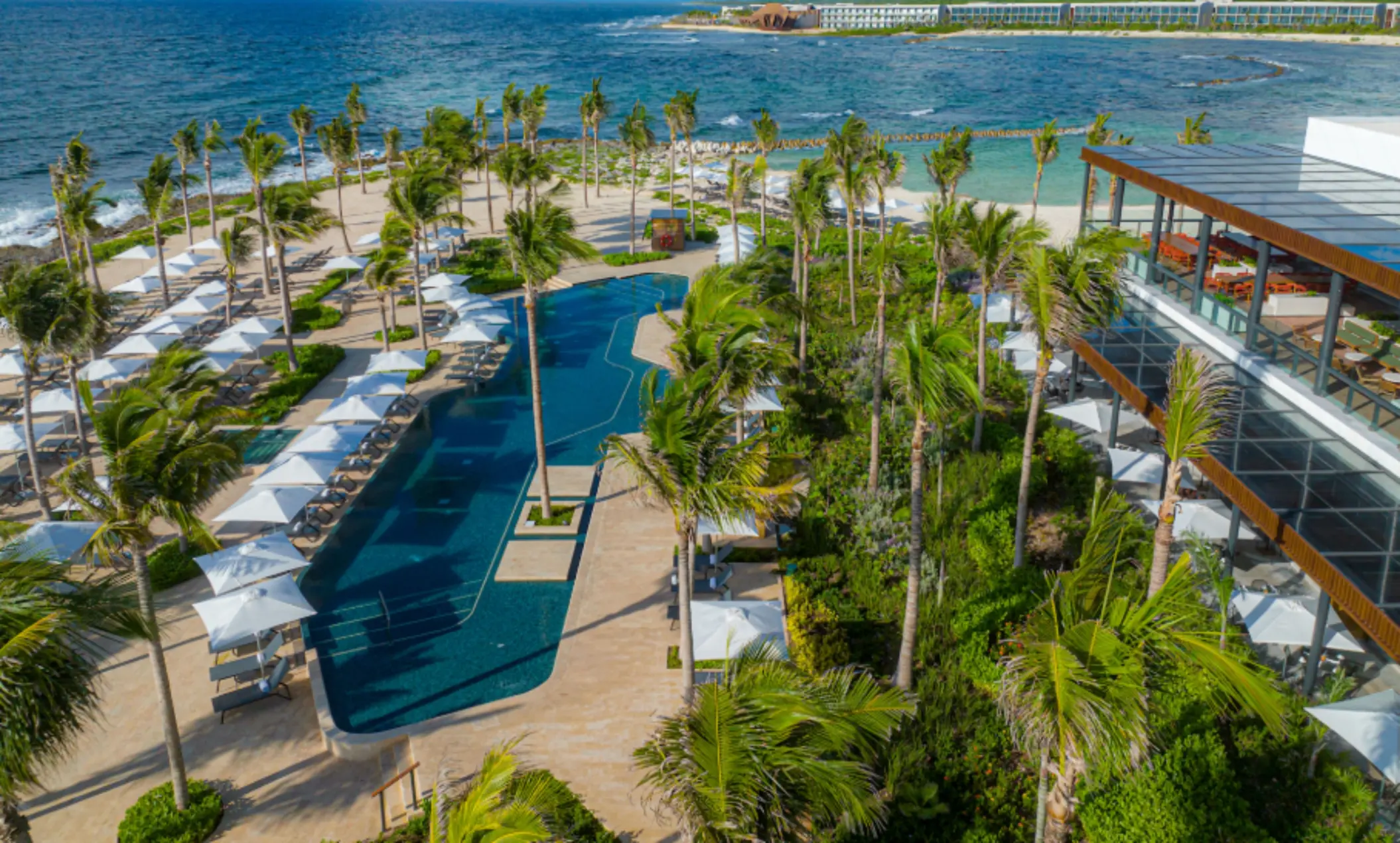 Aerial view of lush beachfront pool area lined with palm trees, white loungers, and the Caribbean Sea.