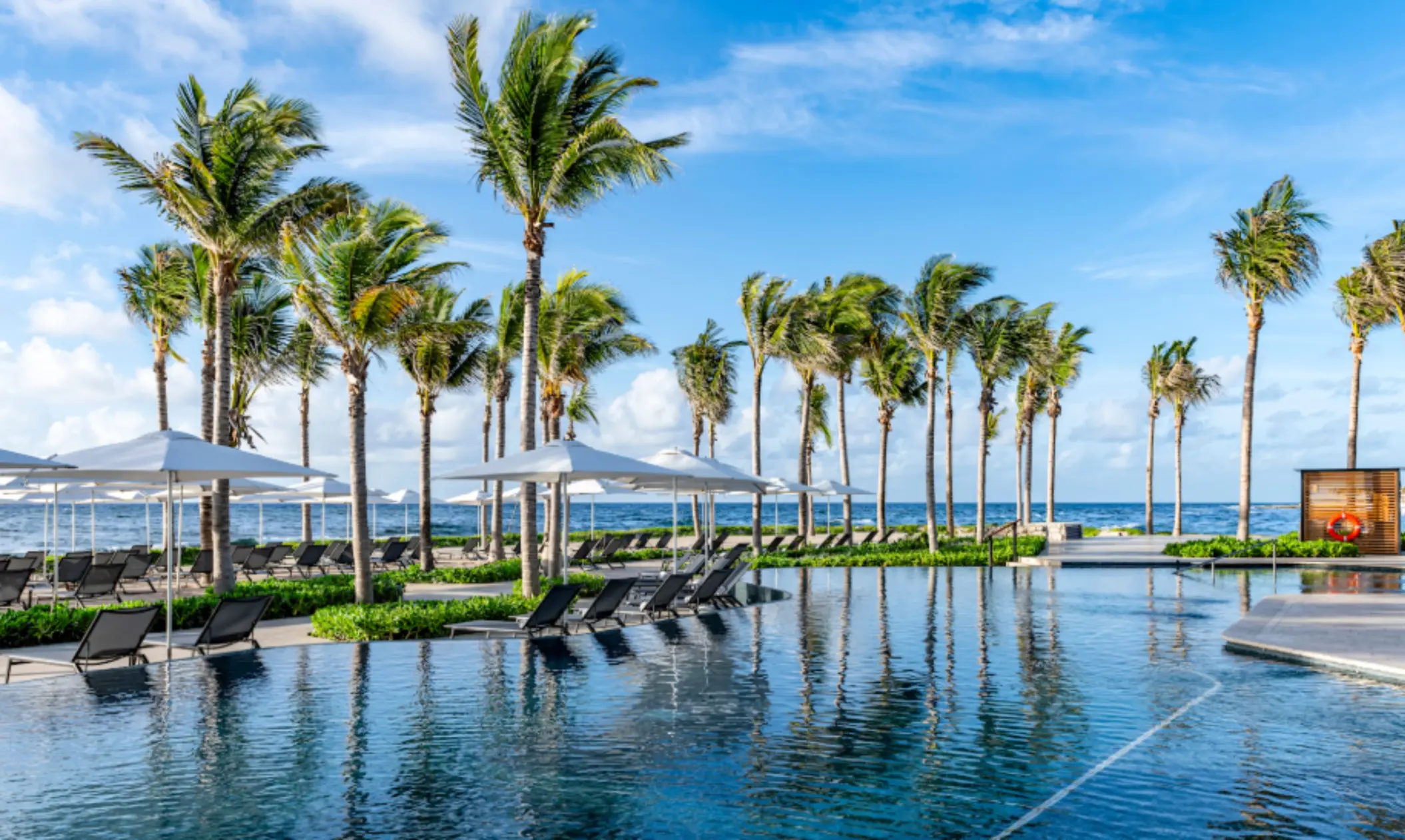 Serene poolside scene with palm trees, shaded loungers, and an oceanfront backdrop under a blue sky.