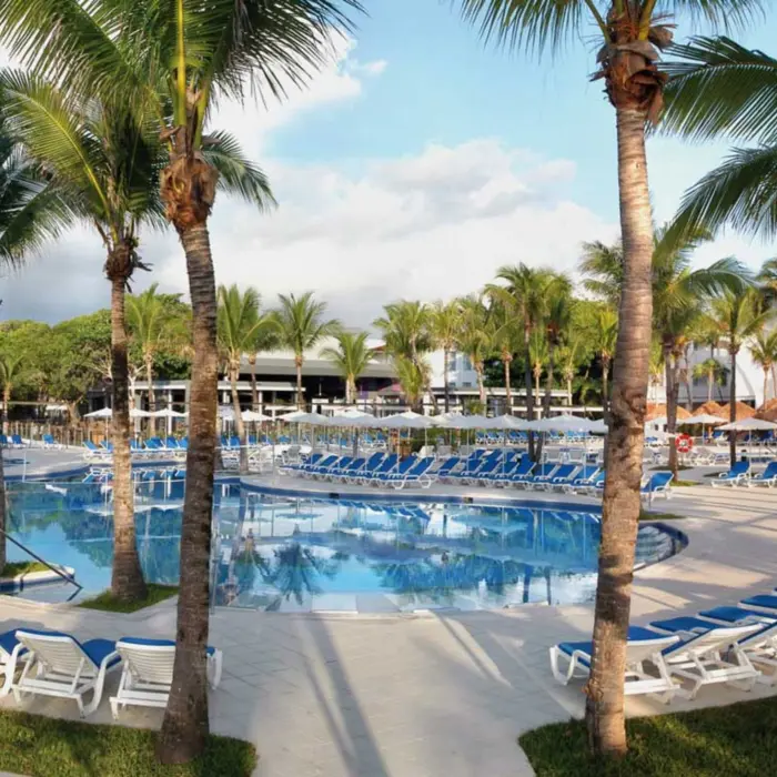 A large outdoor swimming pool surrounded by numerous white lounge chairs with blue cushions, and towering palm trees under a sunny sky.