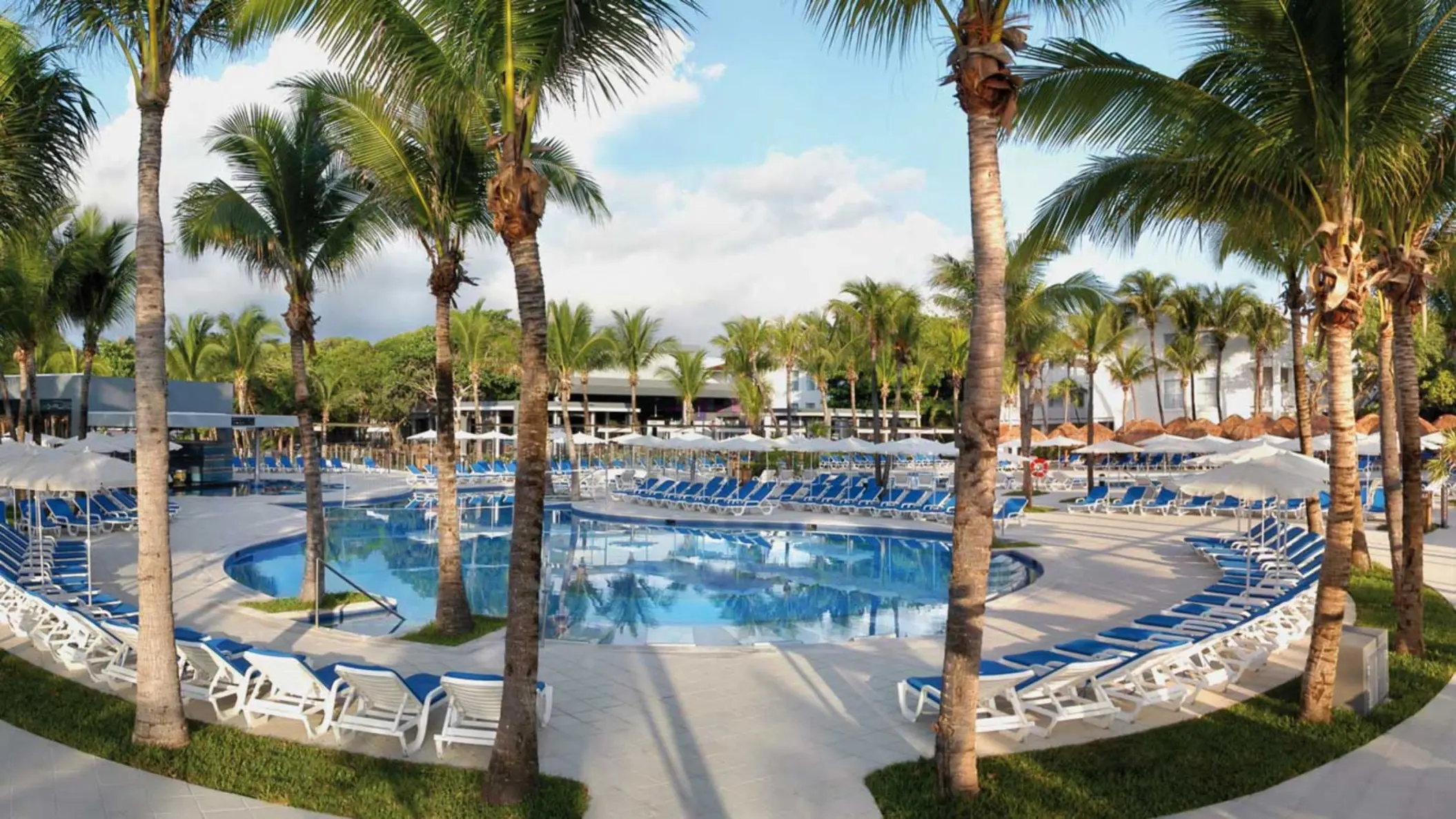 A large outdoor swimming pool surrounded by numerous white lounge chairs with blue cushions, and towering palm trees under a sunny sky.