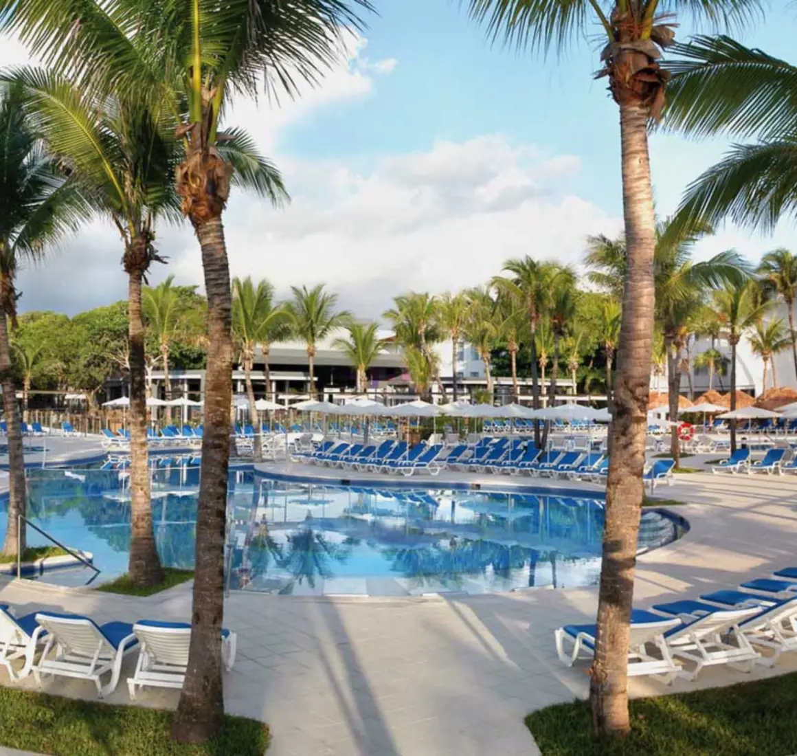 A large outdoor swimming pool surrounded by numerous white lounge chairs with blue cushions, and towering palm trees under a sunny sky.