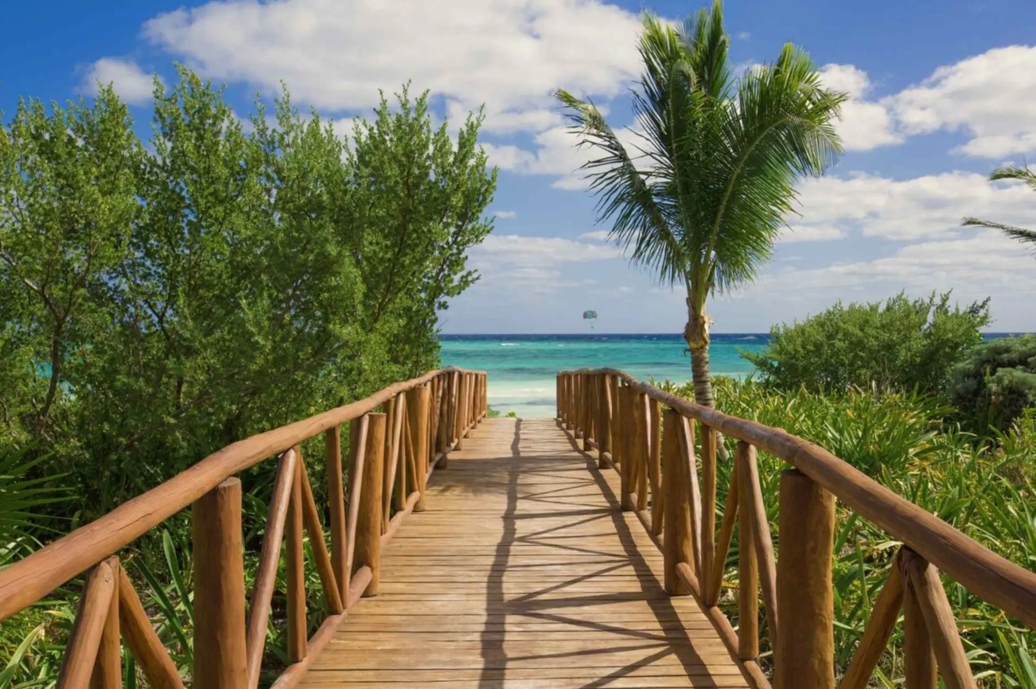Lush greenery lines a wooden boardwalk that opens up to a scenic oceanfront with clear blue skies.