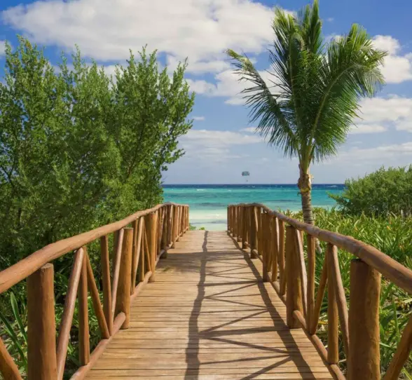 Lush greenery lines a wooden boardwalk that opens up to a scenic oceanfront with clear blue skies.