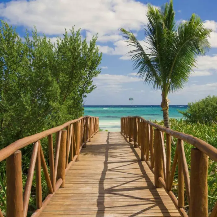 Lush greenery lines a wooden boardwalk that opens up to a scenic oceanfront with clear blue skies.
