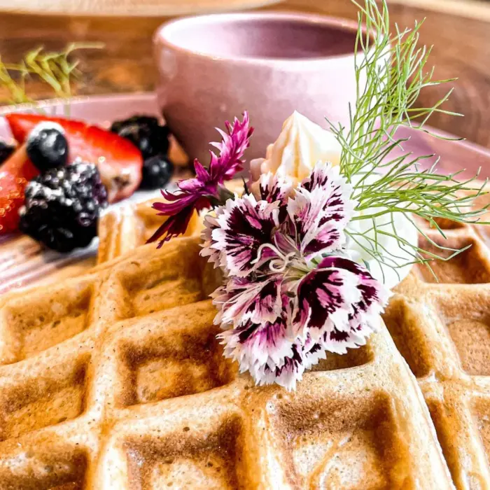 breakfast waffles at Hotelito Azul Tulum