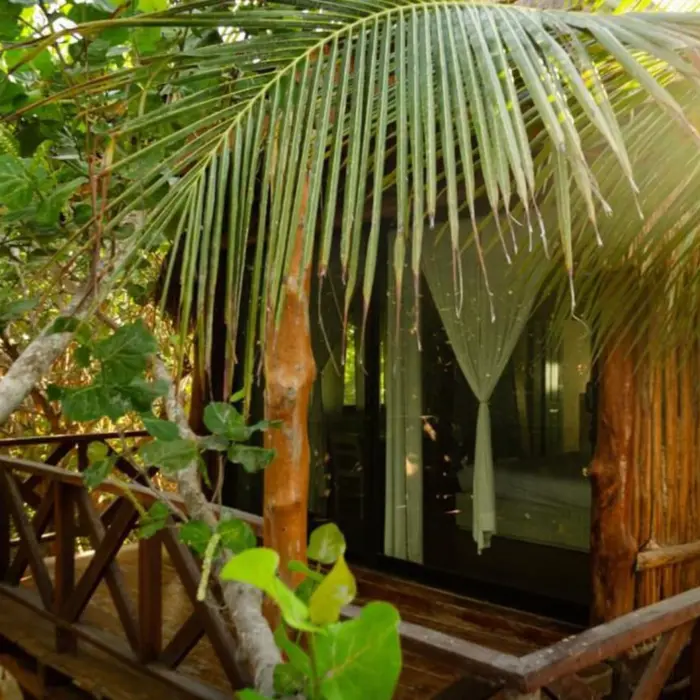 exterior of room at Hotelito Azul Tulum surrounded by greenery