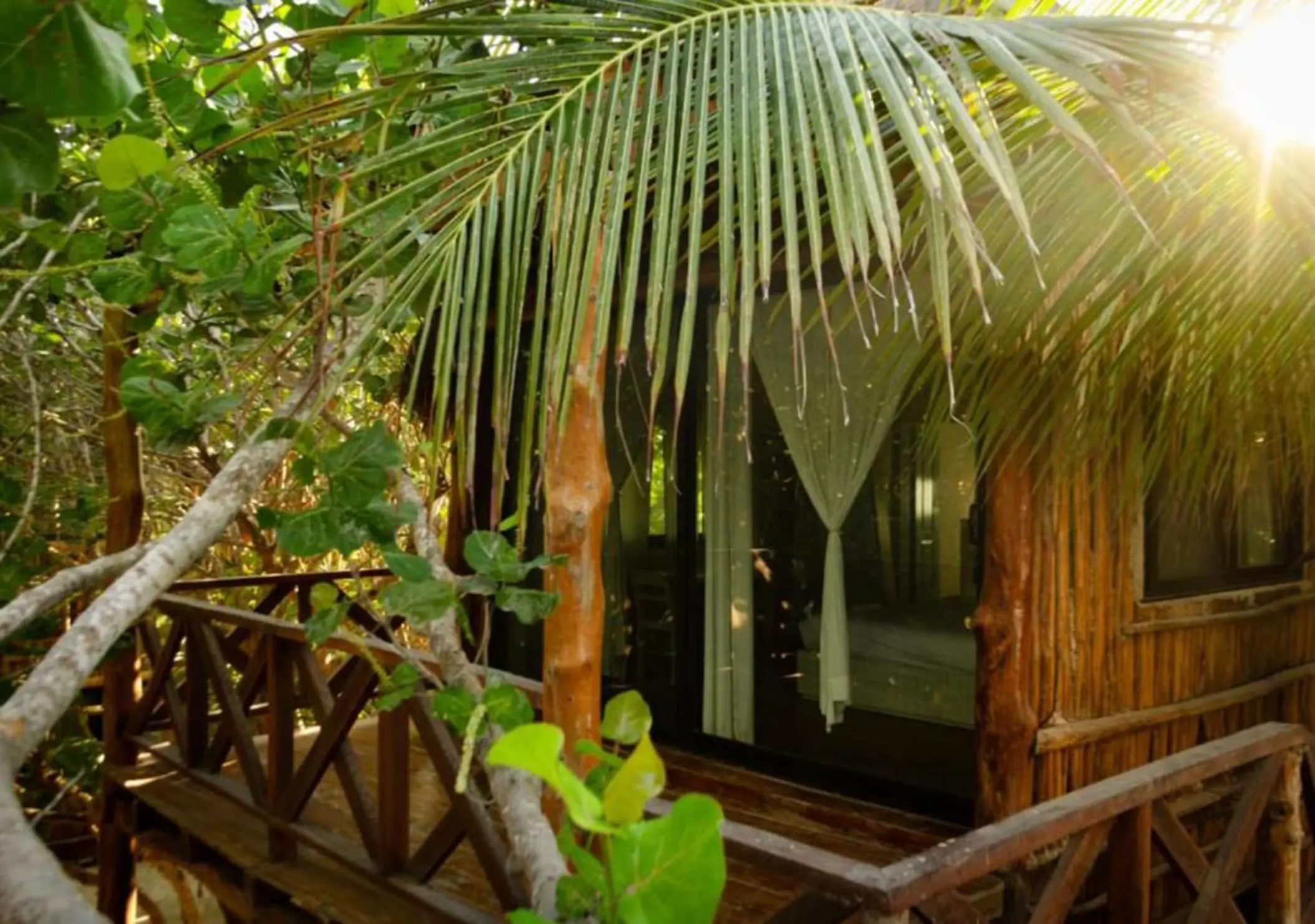 exterior of room at Hotelito Azul Tulum surrounded by greenery