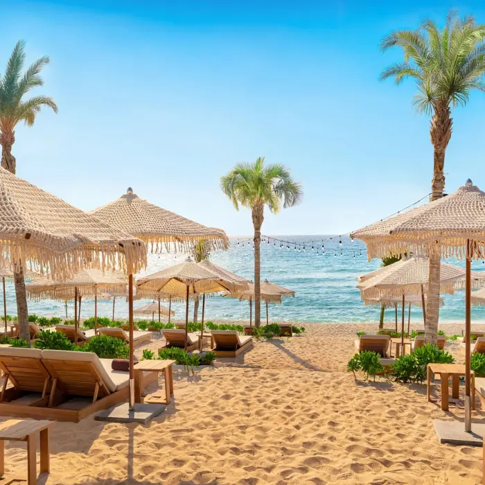 White sand beach with woven umbrellas, wooden loungers, and palm trees facing turquoise ocean waters.