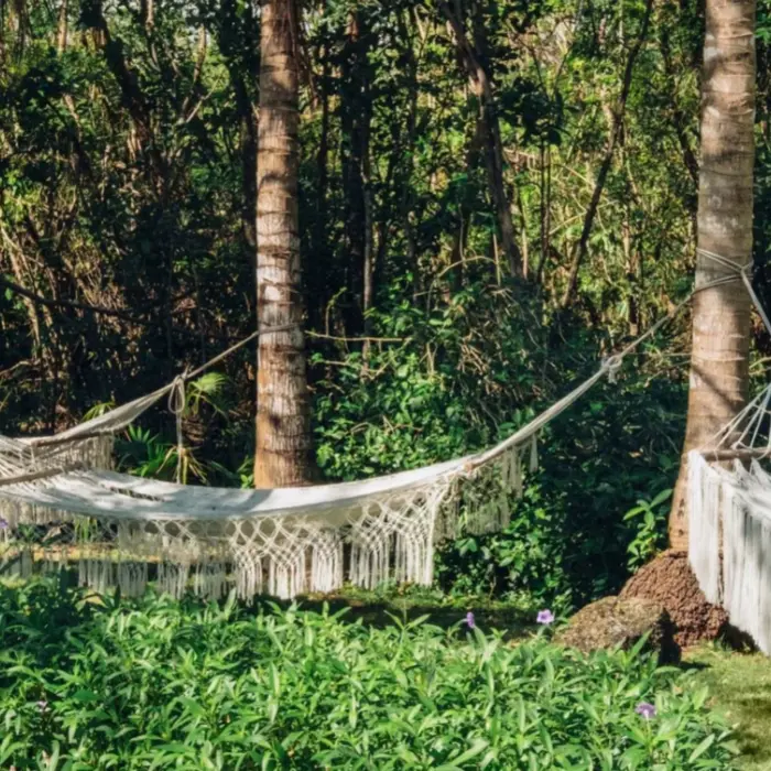 hammocks in the garden at Iberostar Waves Paraiso del Mar
